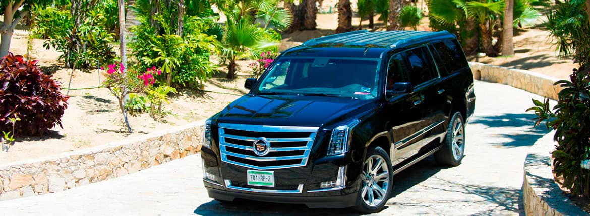 Transportation & Ground Services